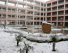 校園雪景 教學(xué)樓 庭院